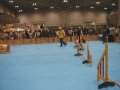 seru13-9.jpg